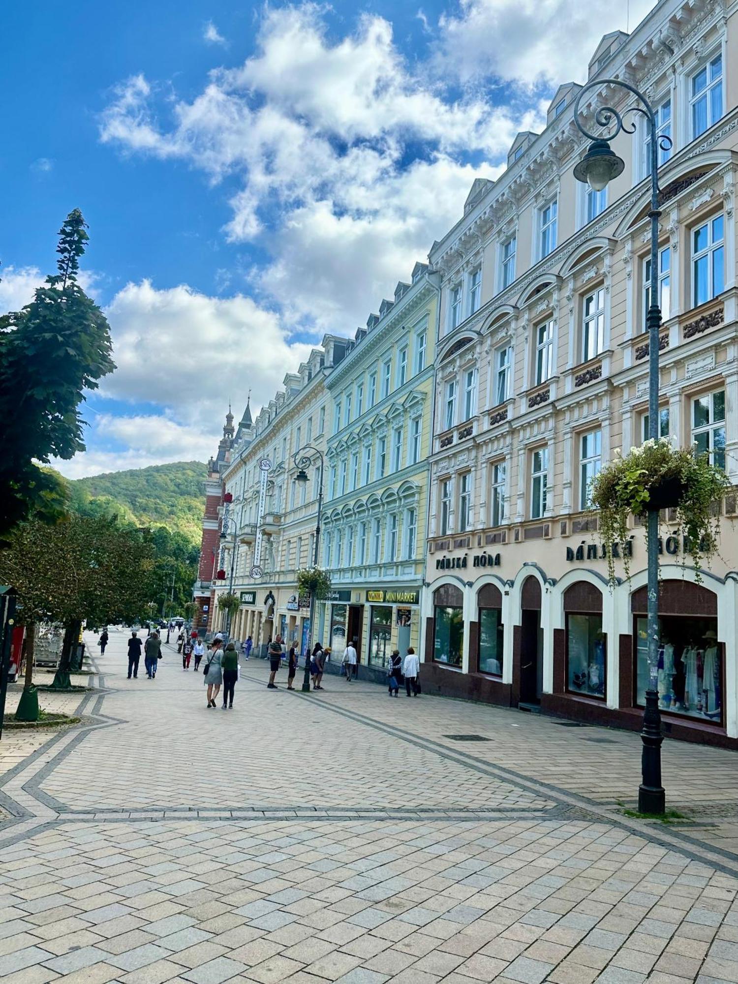 Apartment Th Karlovy Vary Bagian luar foto